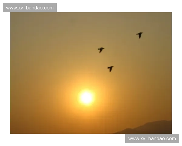 诸神黄昏与飞翔的荷兰人：萨尔瓦多午后的那一抹橙色残阳